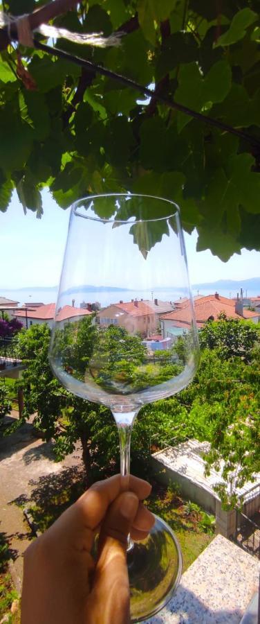 Niksa Apartman Fiume Kültér fotó